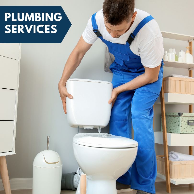 Plumbing Company in Ithaca, MI